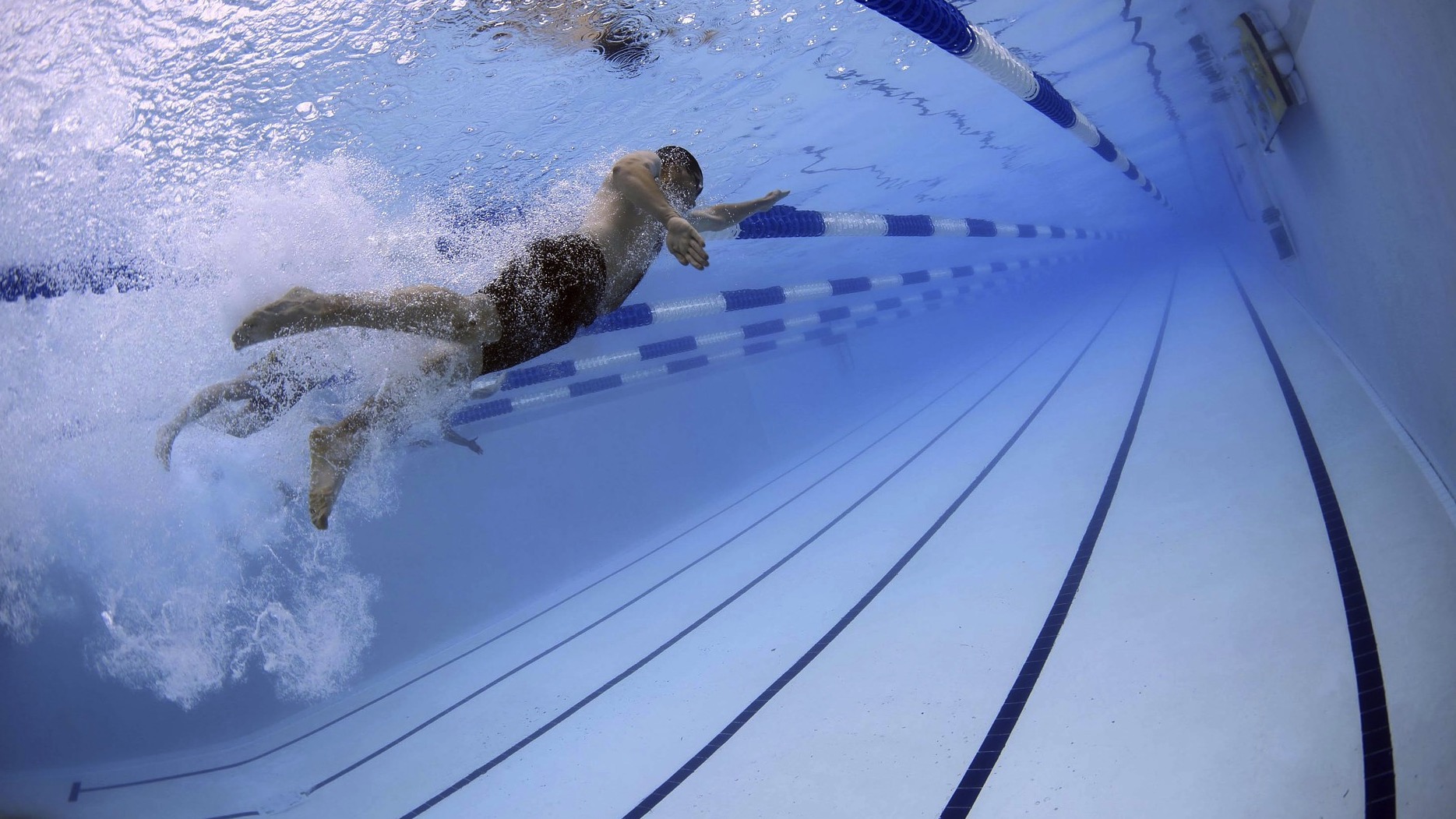 La piscine «Les Dauphins» fermée du 10 au 25 décembre