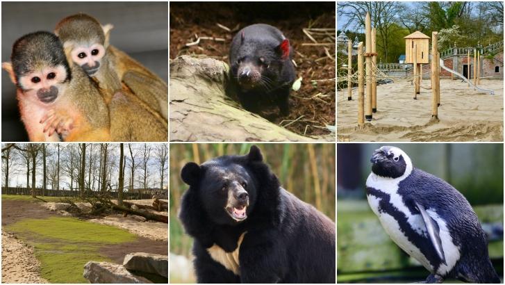 Pairi Daiza va recruter 200 nouveaux collaborateurs