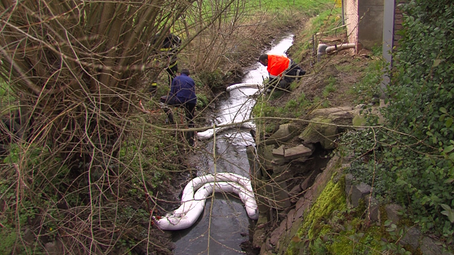 Un cours d'eau pollué par le mazout à Templeuve