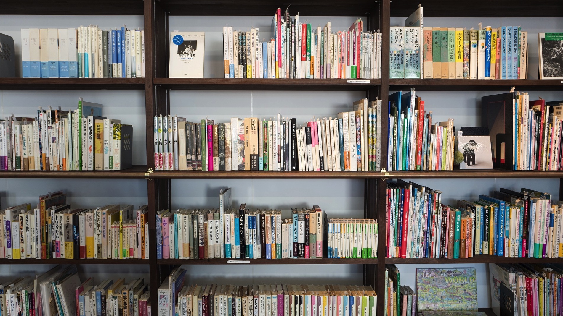 Les bibliothèques de Bernissart, Celles, Lessines et Estaimpuis reconnues par la Communauté française
