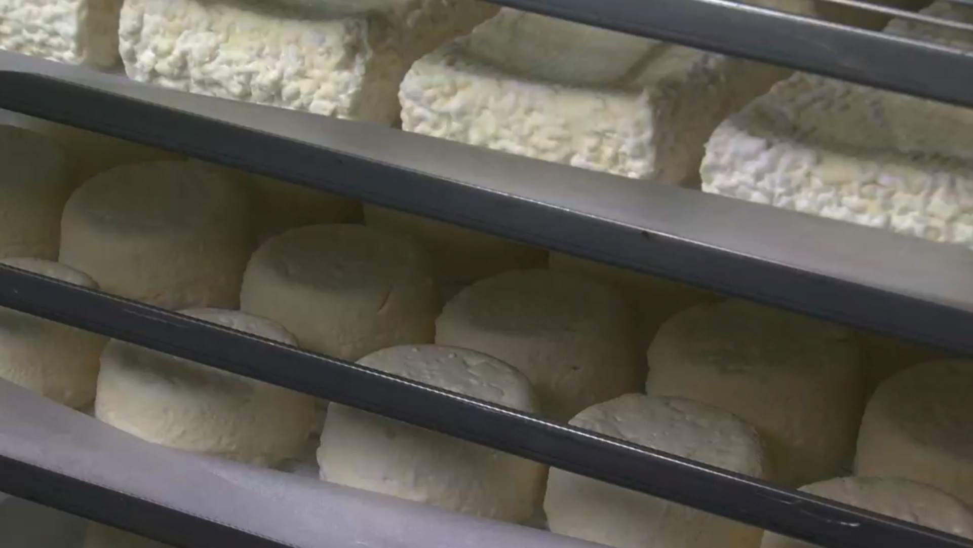 Concours des Fromages de Chez Nous: Des fromagers de la Wallonie picarde primés