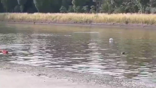 Une voiture dans le canal à Roucourt: l'automobiliste est tirée d'affaire