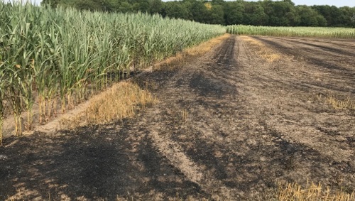 Début d'incendie dans un champ à Basècles