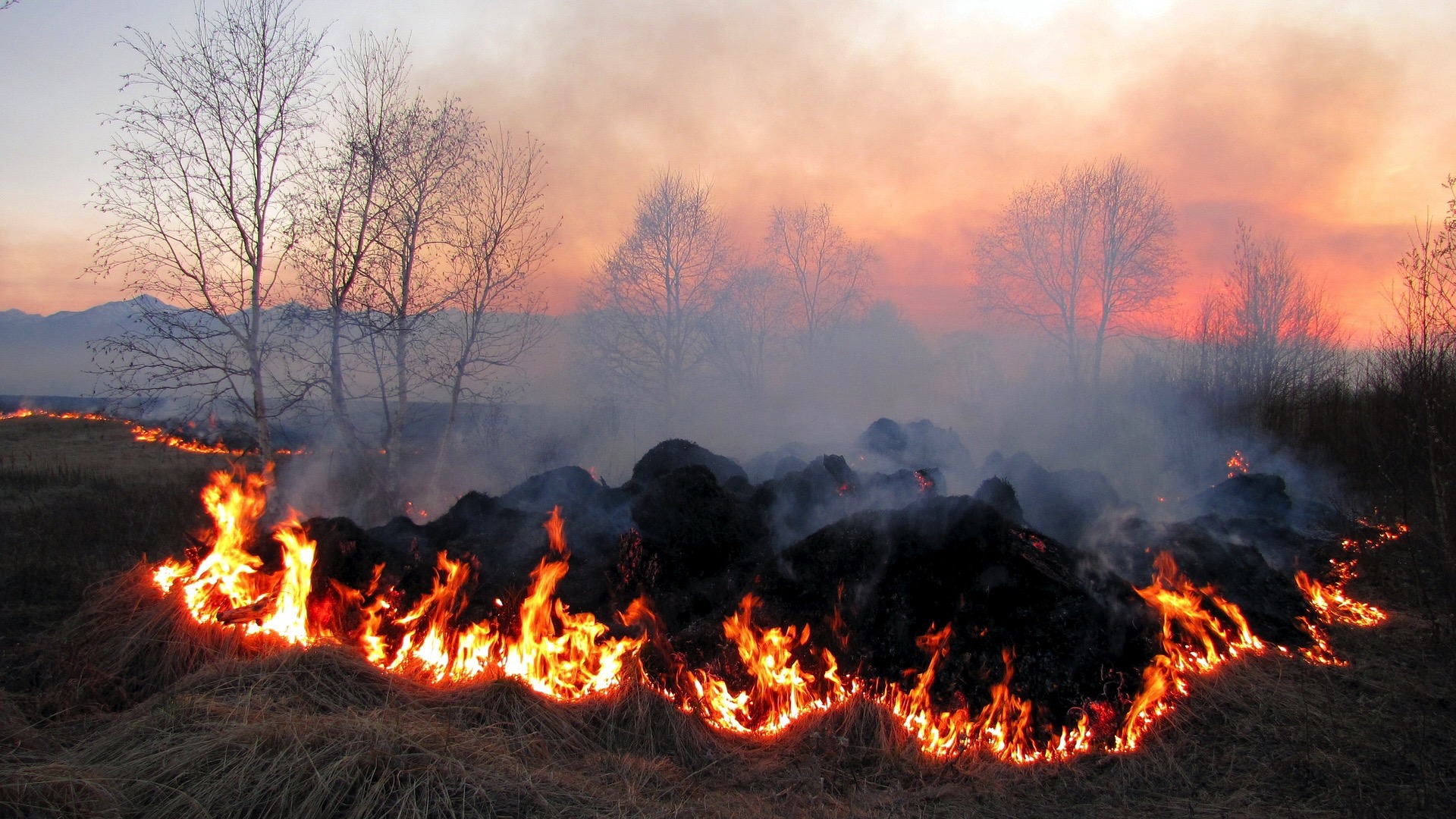 Canicule et période de sécheresse: voici une série de mesures à respecter pour diminuer les risques d'incendie