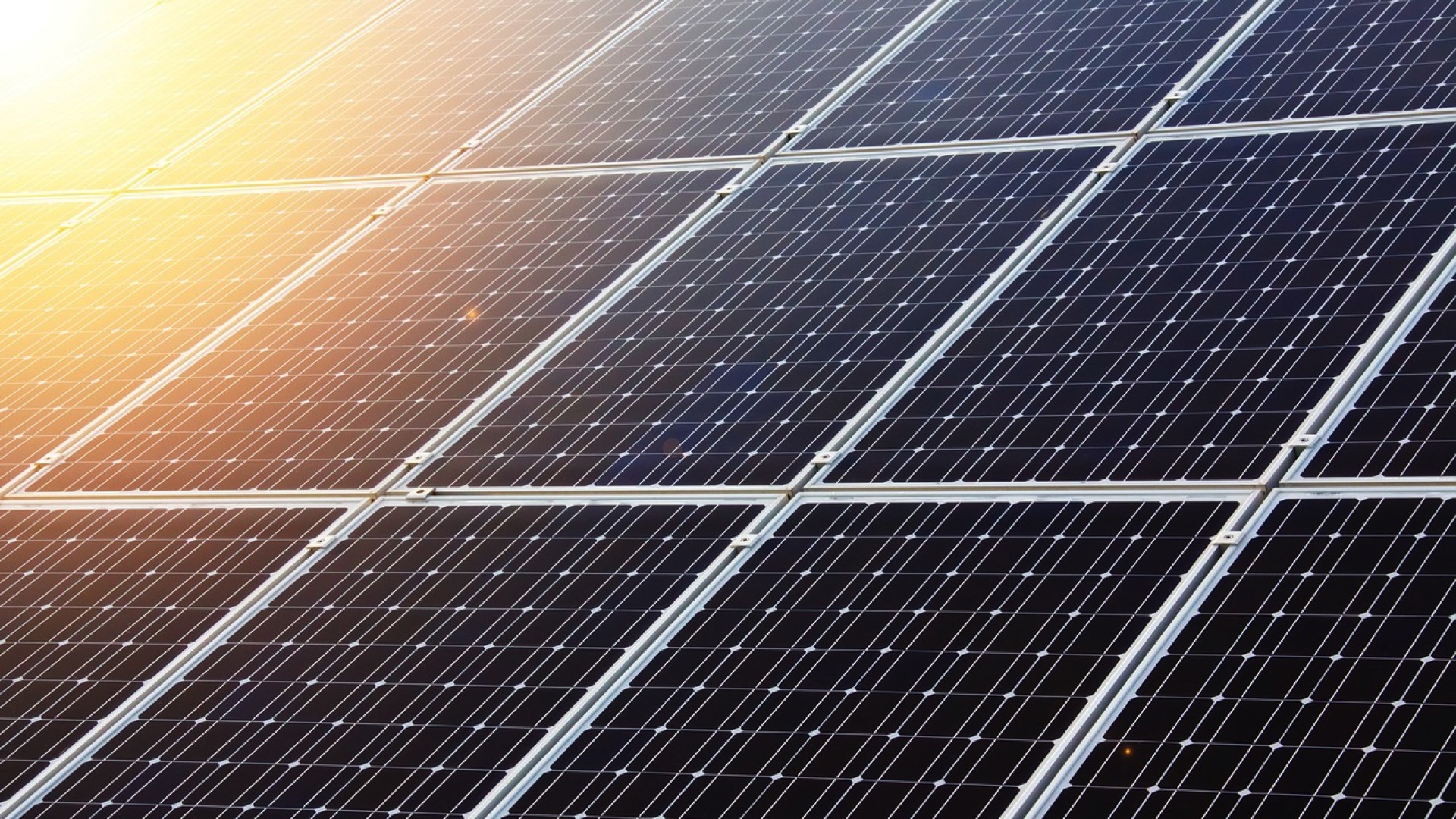 Pairi Daiza est en train de construire le plus grand parking photovoltaïque du monde