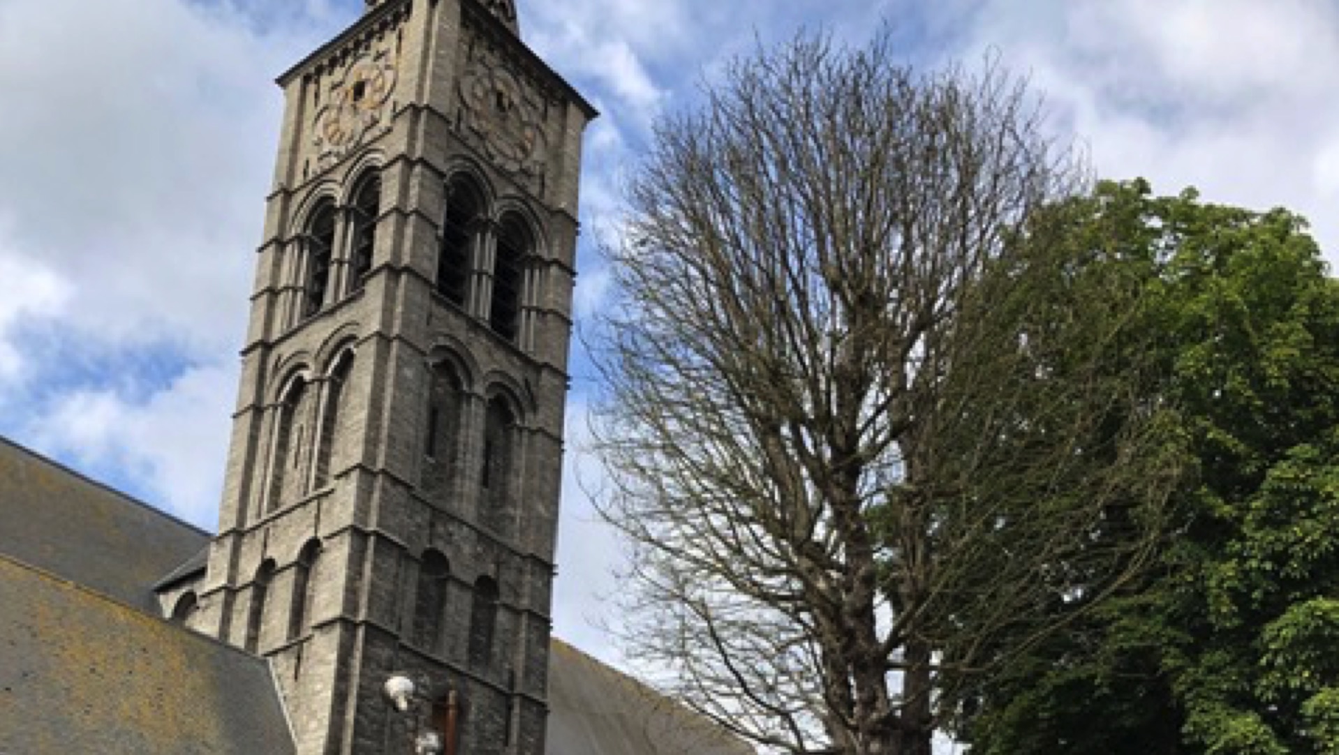 Le marronnier mort près de l'église Saint-Piat à Tournai sera abattu