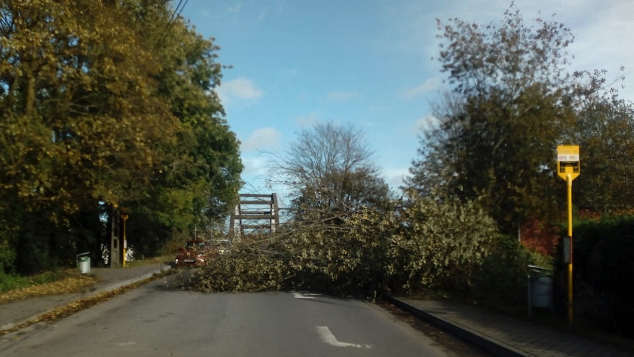 Un arbre couché dans la rue des Abliaux