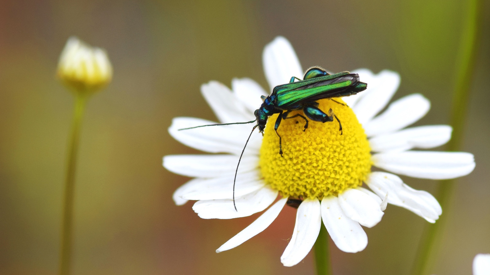 10 lauréats pour le concours photo du PCDN frasnois