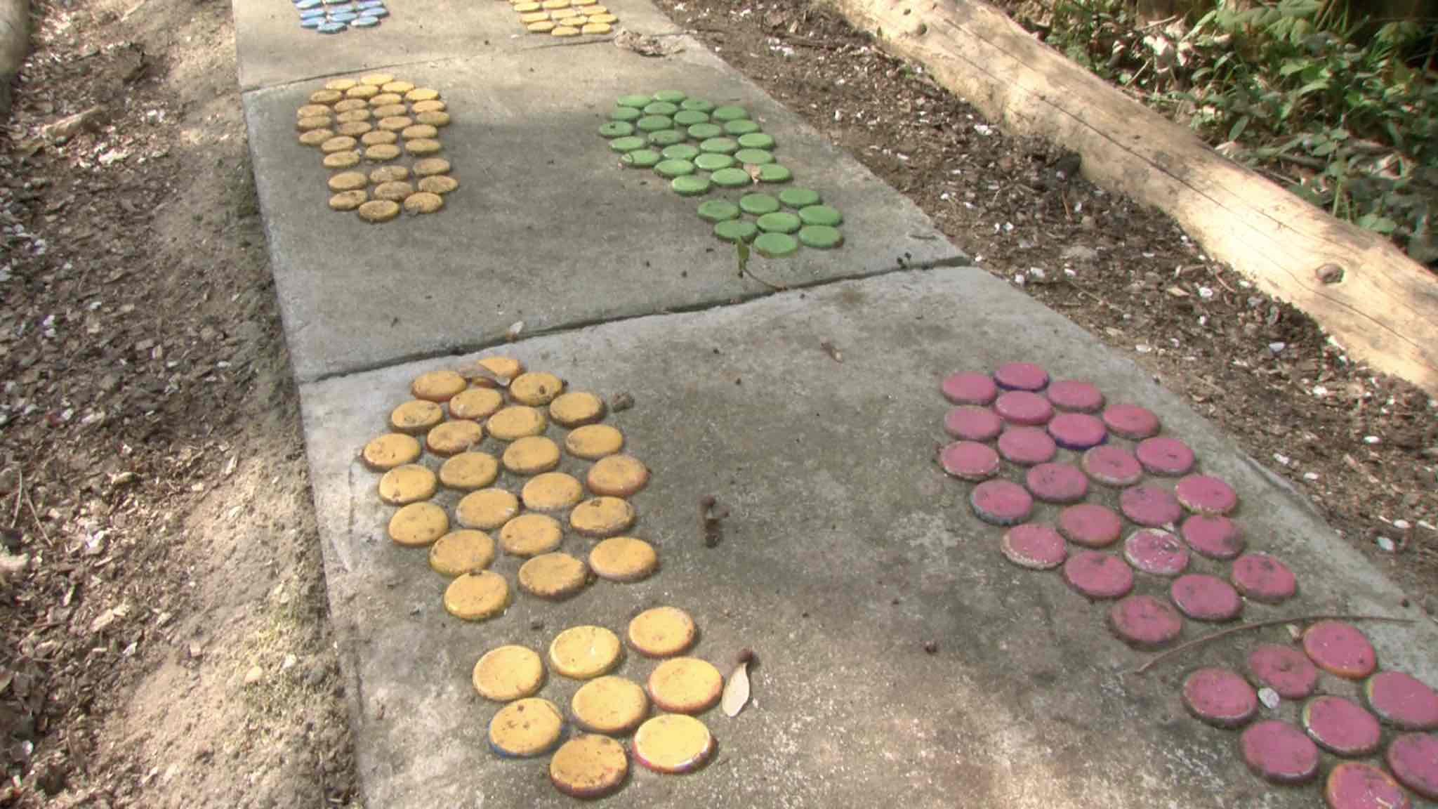 L’escale forestière du Parc naturel des Plaines de l'Escaut à nouveau accessible à partir du mardi 2 juin