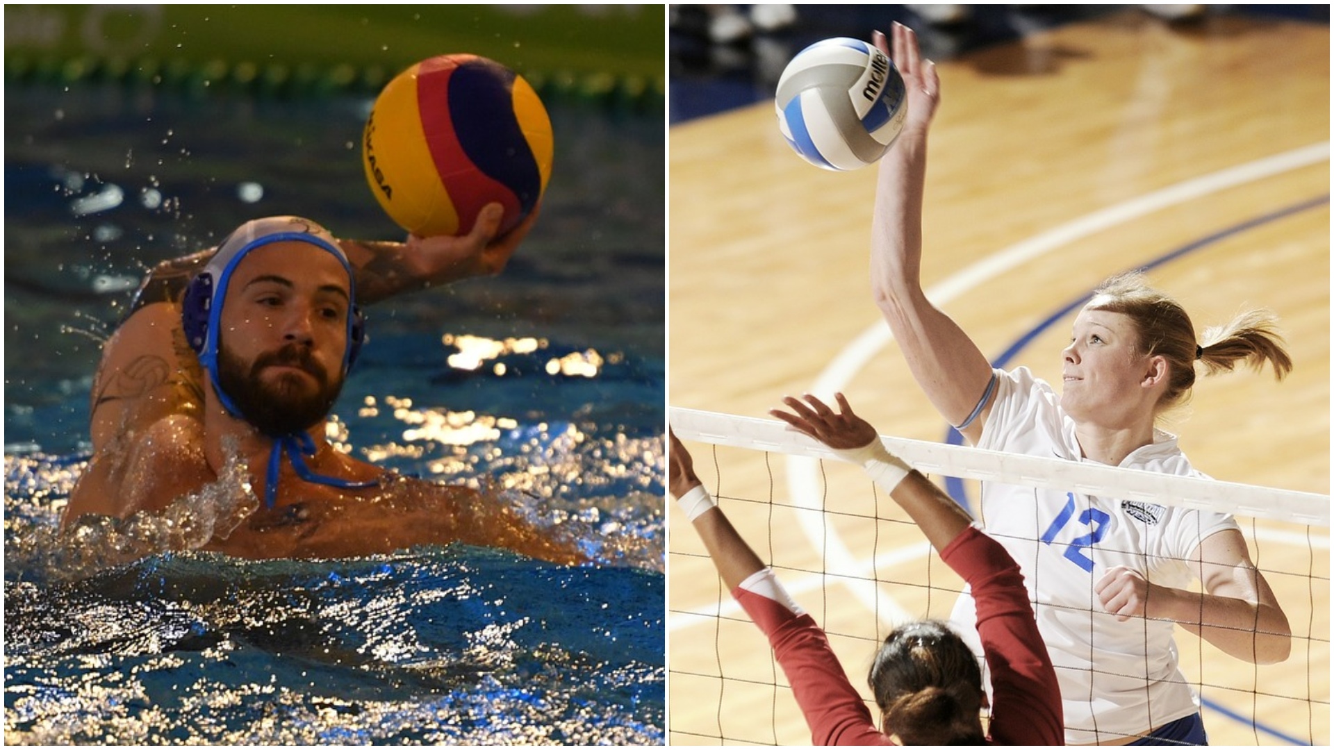 Le volley et le water-polo espèrent reprendre fin septembre
