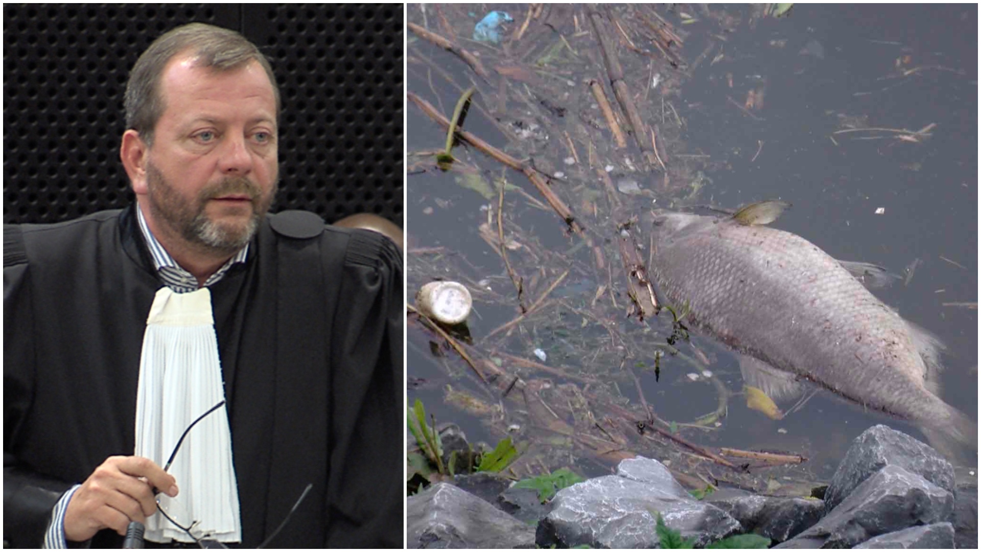 Jean-Philippe Rivière représentera Antoing, Brunehaut et Tournai dans l'affaire de la pollution de l'Escaut