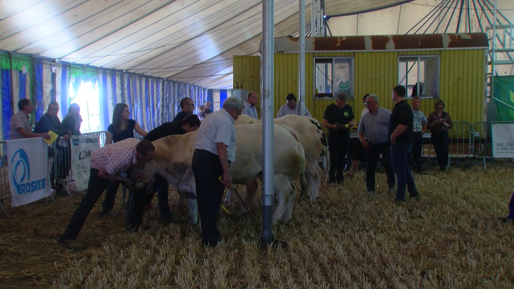 Frasnes : la foire agricole 2020 sera différente
