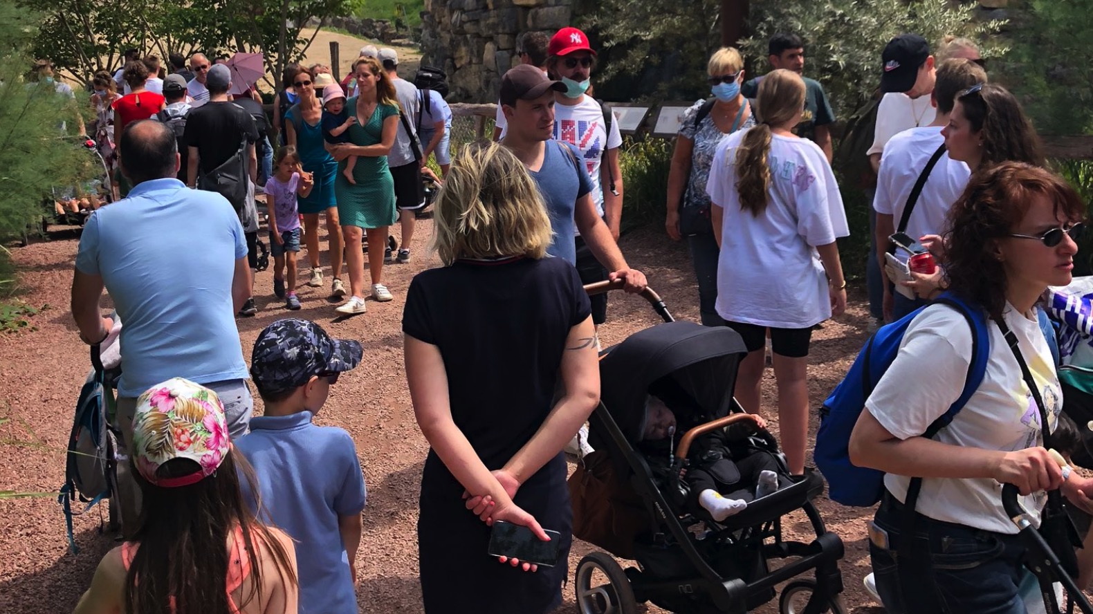 Covid-19 : Pairi Daiza diminue le nombre de visiteurs admis