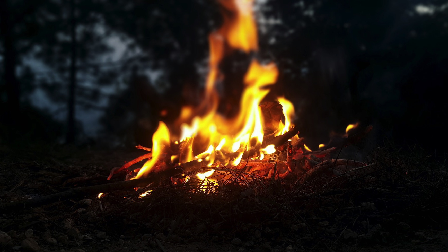 Feux de camps, barbecues dans les bois,... : une série d'interdictions à Beloeil pour limiter les risques d'incendies