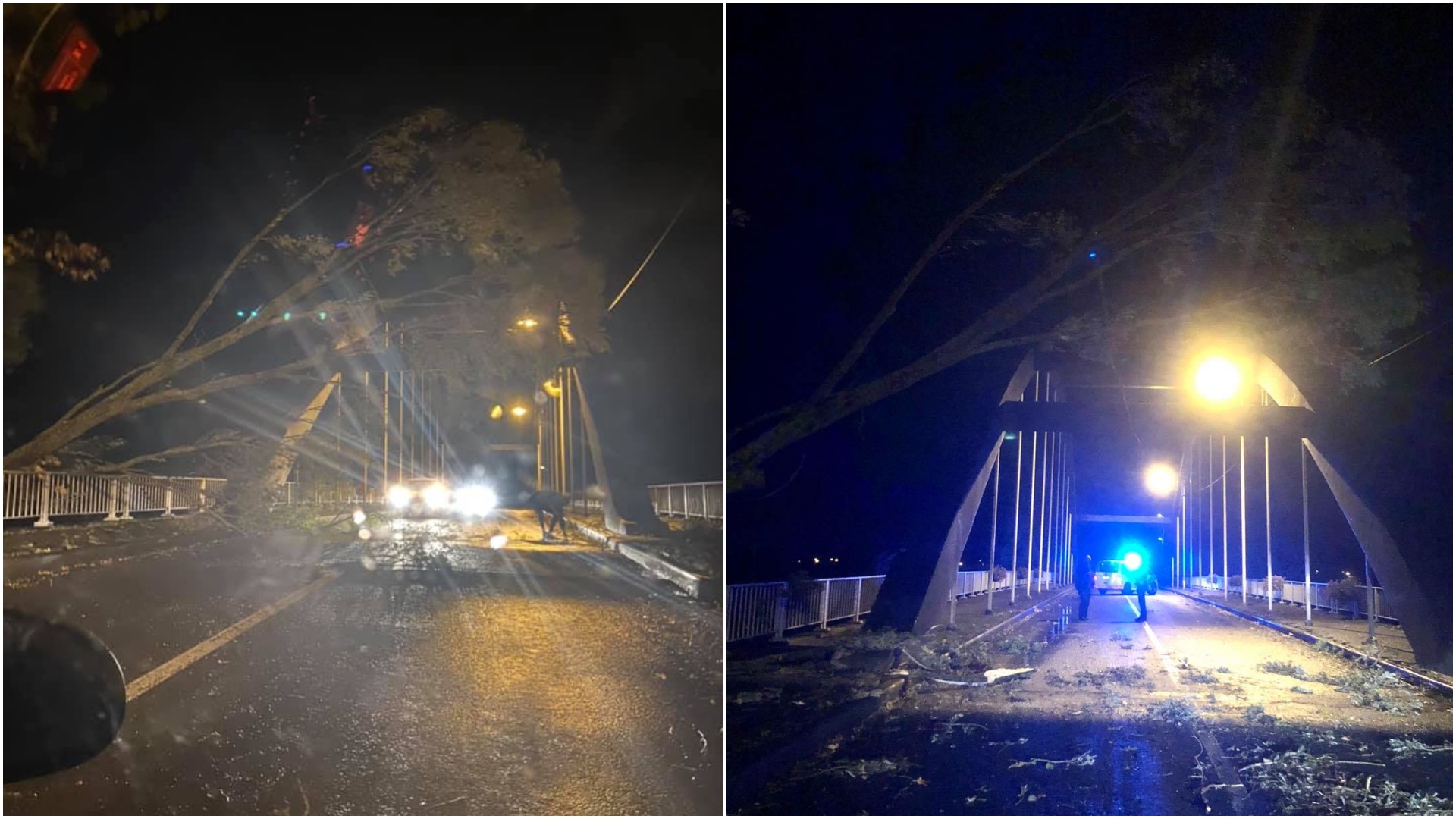 Arbre couché sur le pont de Pecq : la situation est sous contrôle