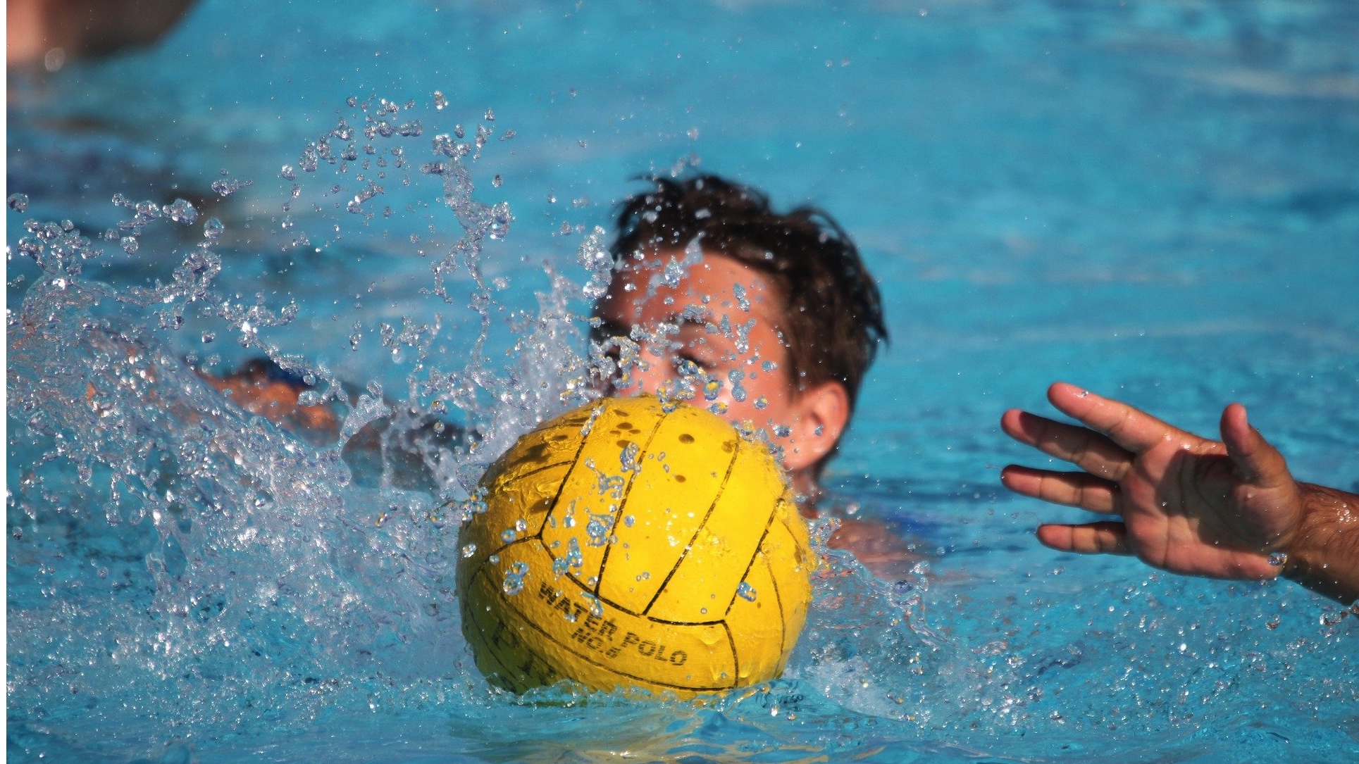 Water-polo : les compétitions suspendues jusqu’au 31 décembre