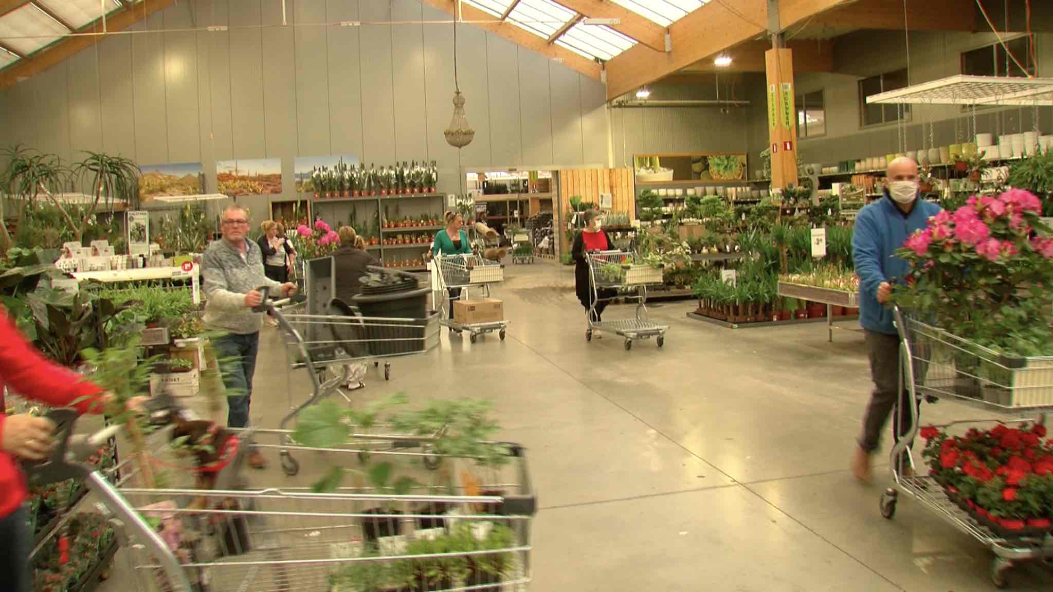 L'enseigne Famiflora obligée de fermer ses portes dès ce jeudi