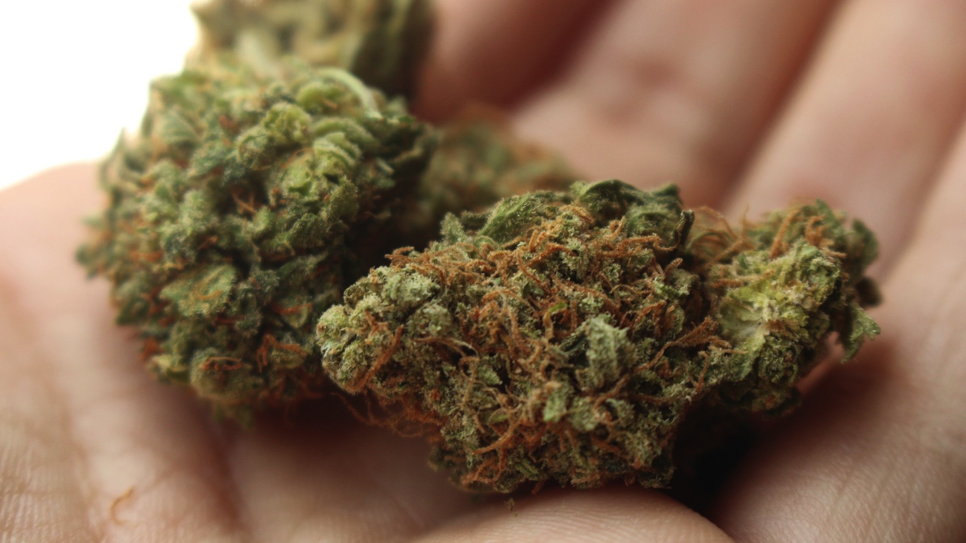 Arrestation de deux dealers à Mouscron