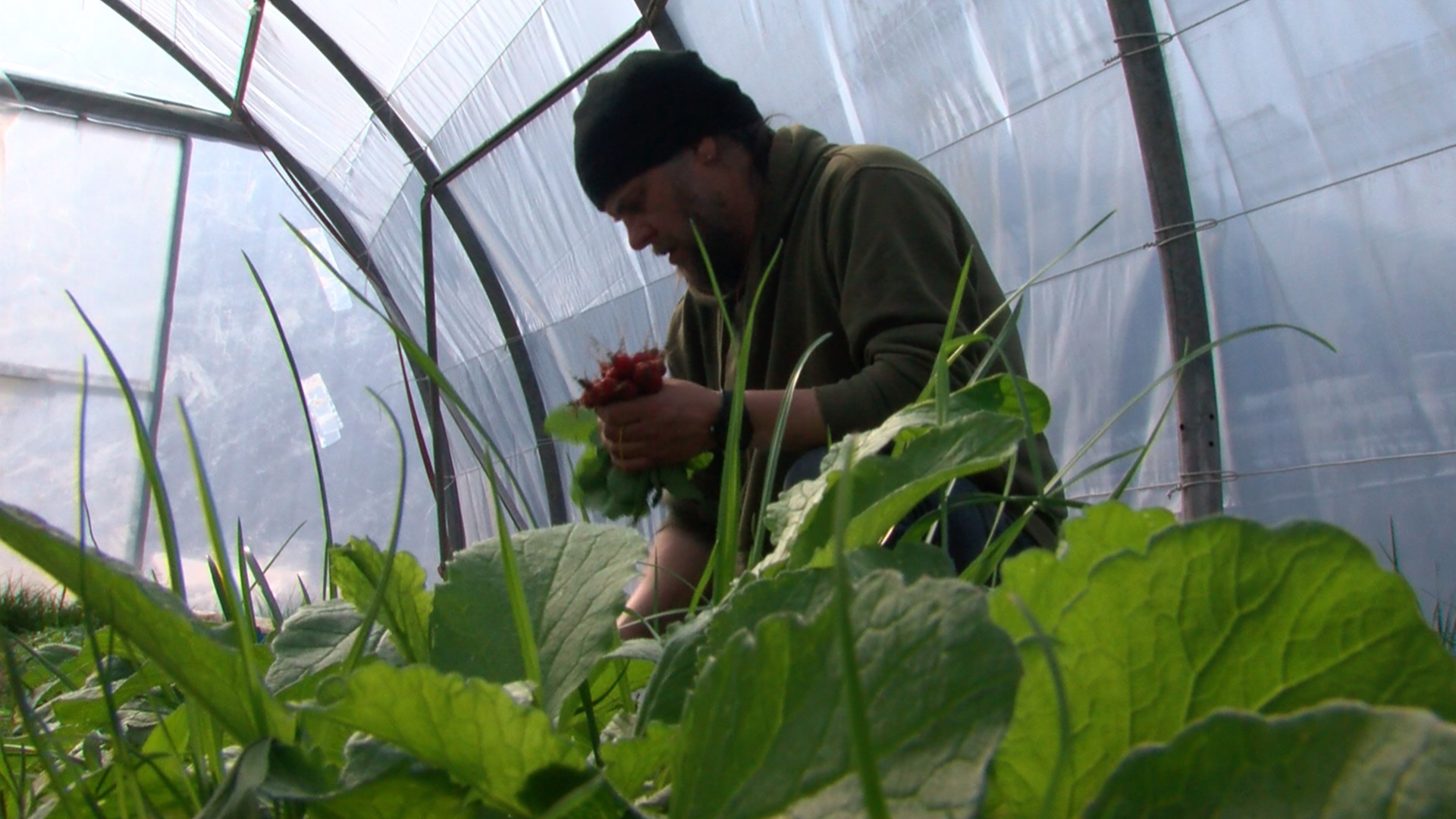 Le potager des hirondelles : une collaboration entre un agriculteur de Silly  et un maraîcher de Thoricourt