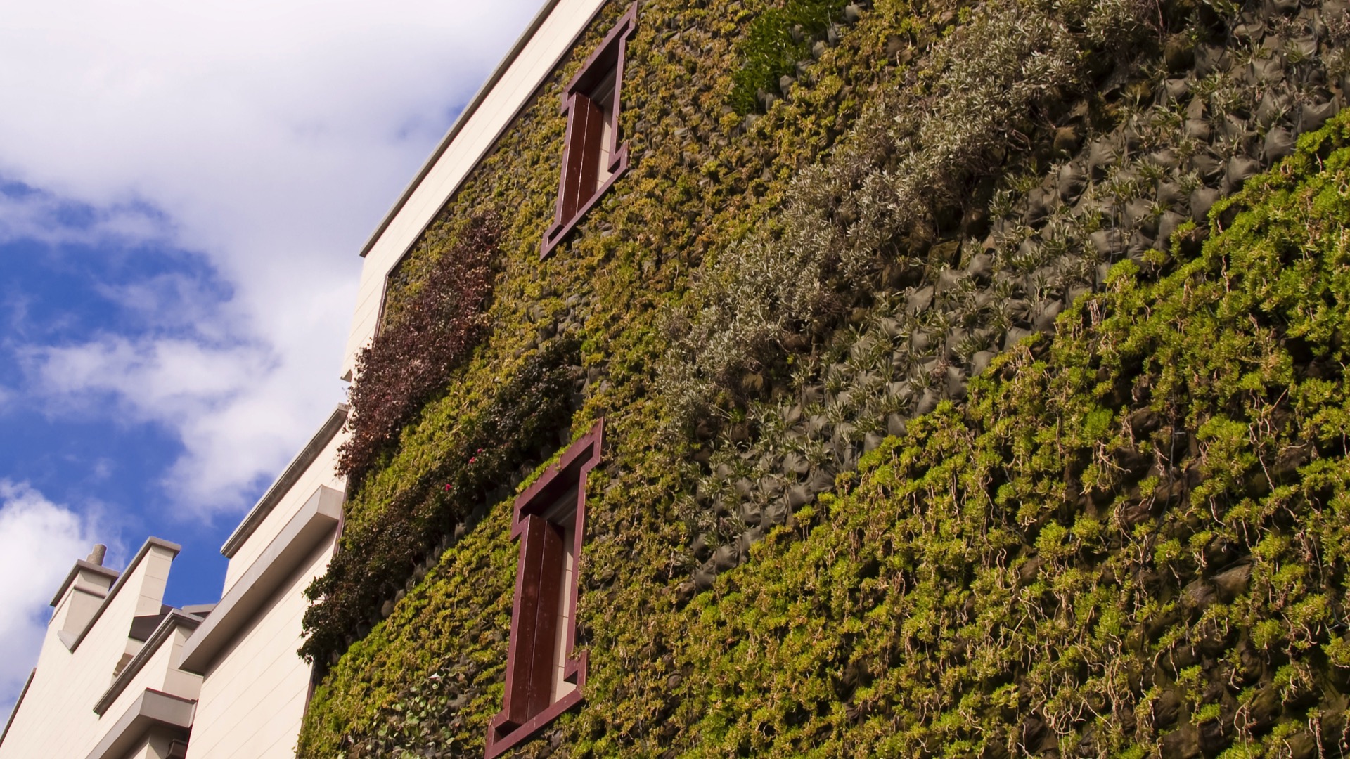 Tournai : le concours «Façades fleuries» revient avec une nouvelle formule