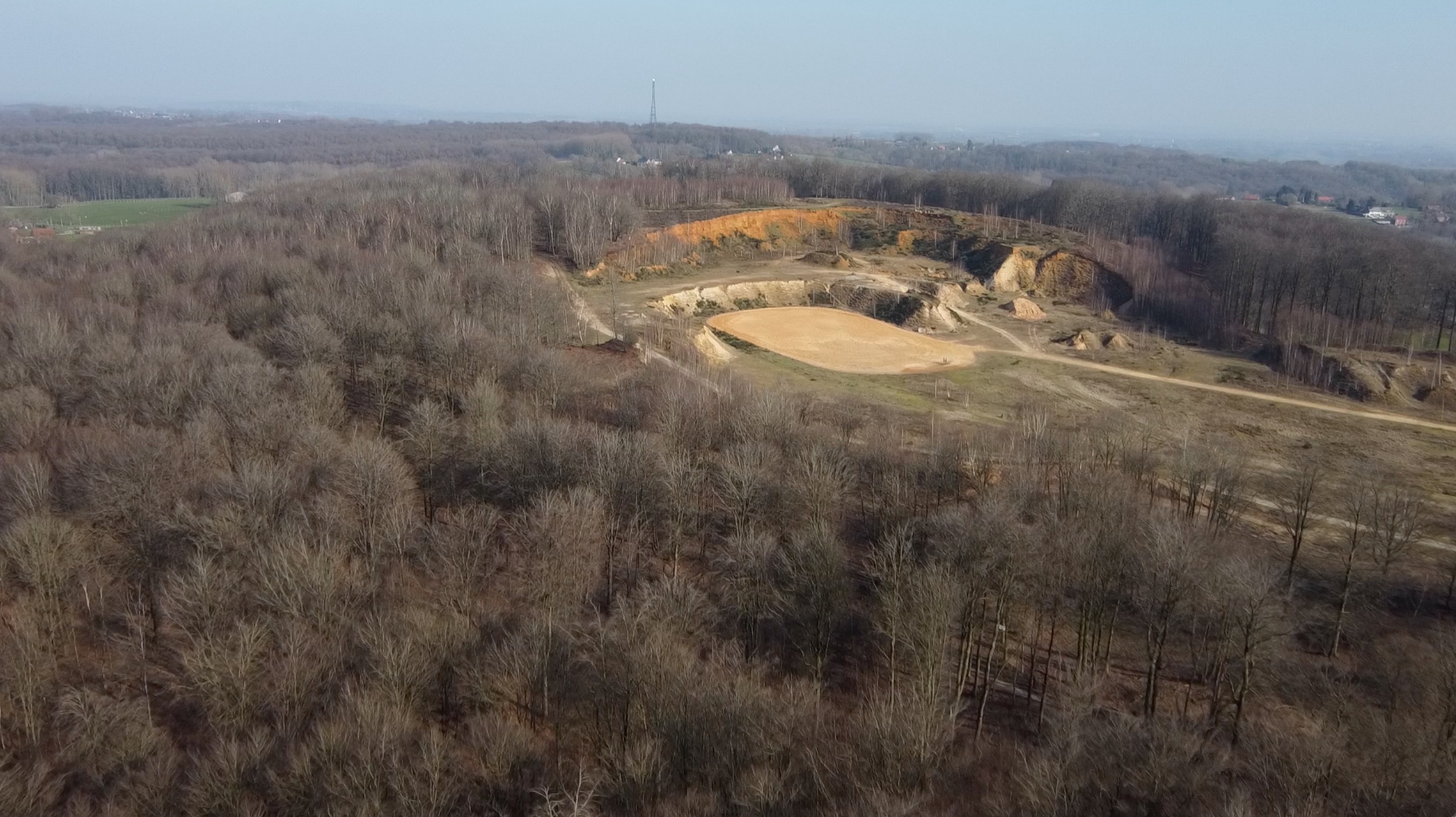 Flobecq : le collège échevinal a dit «oui» au projet de parc à loups au bois de La Houppe