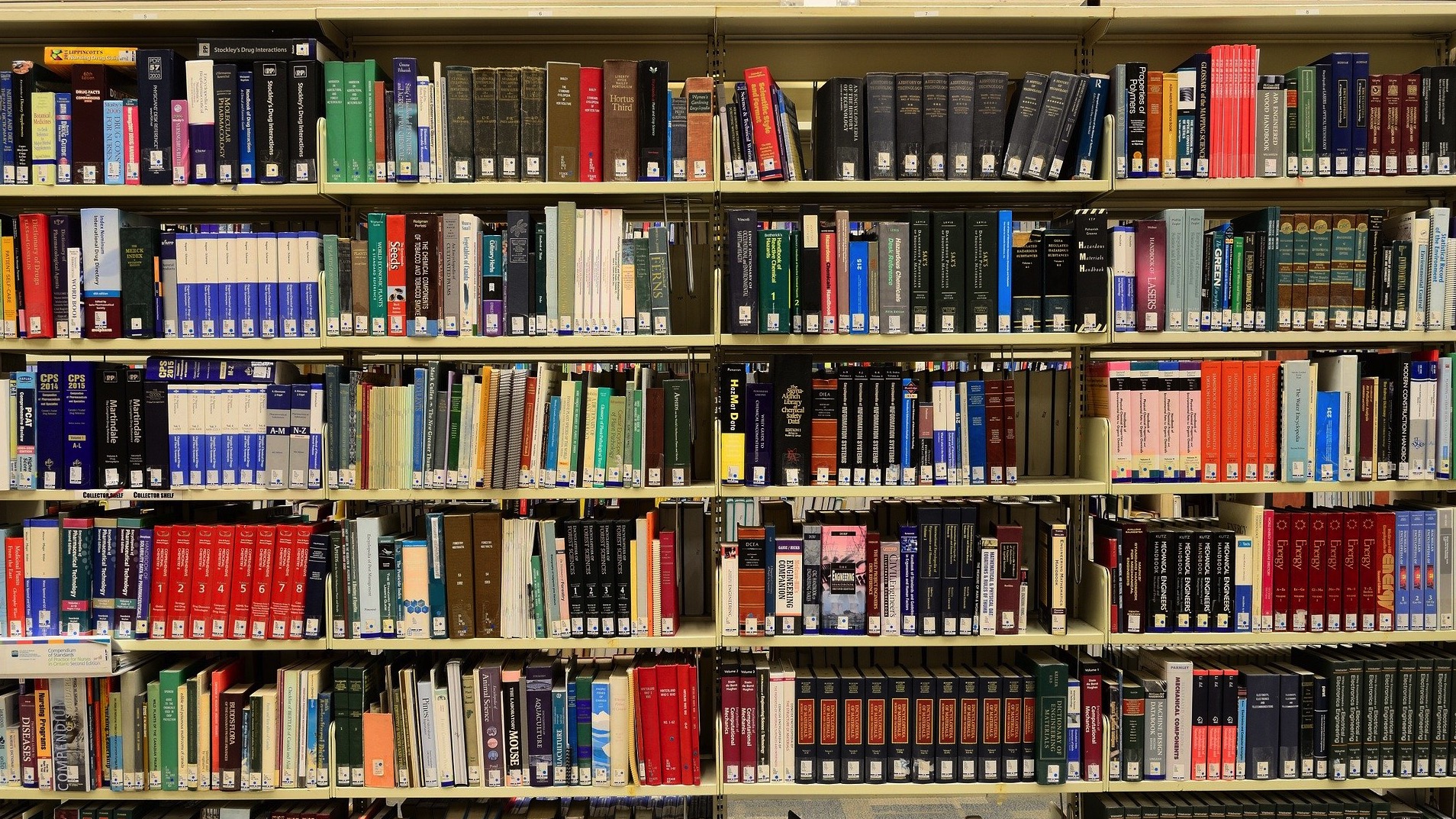 Celles : le centre de lecture publique déménage temporairement