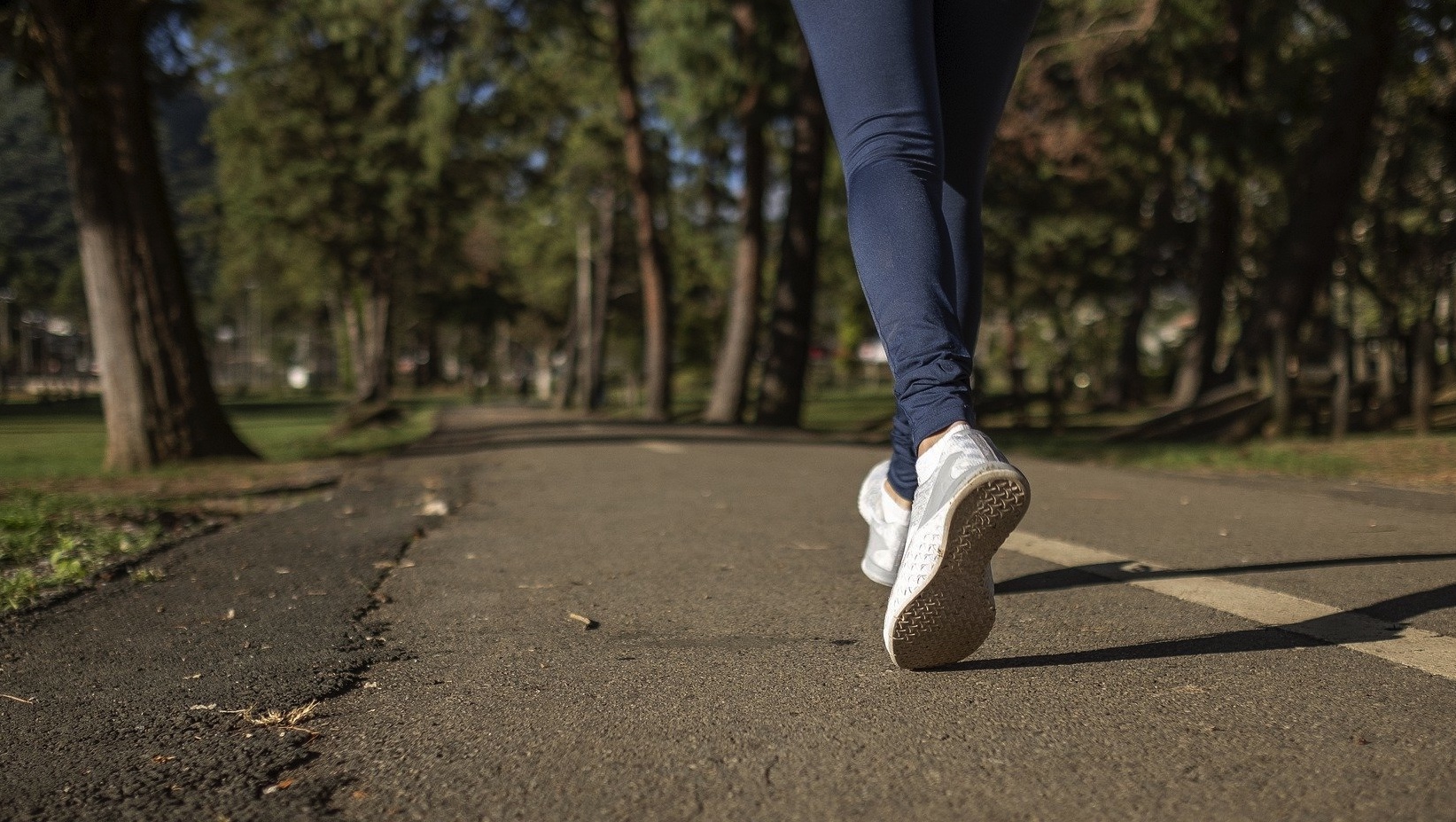 La commune de Pecq va offrir 1.000 licences «Formyfit» à ses citoyens