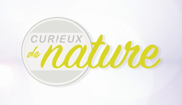 Curieux de nature