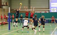 Volley  finales francophones jeunes