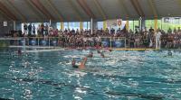 Water polo Challenger Cup