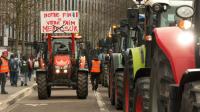 De Froyennes à Strasbourg, le combat des agriculteurs face au Mercosur