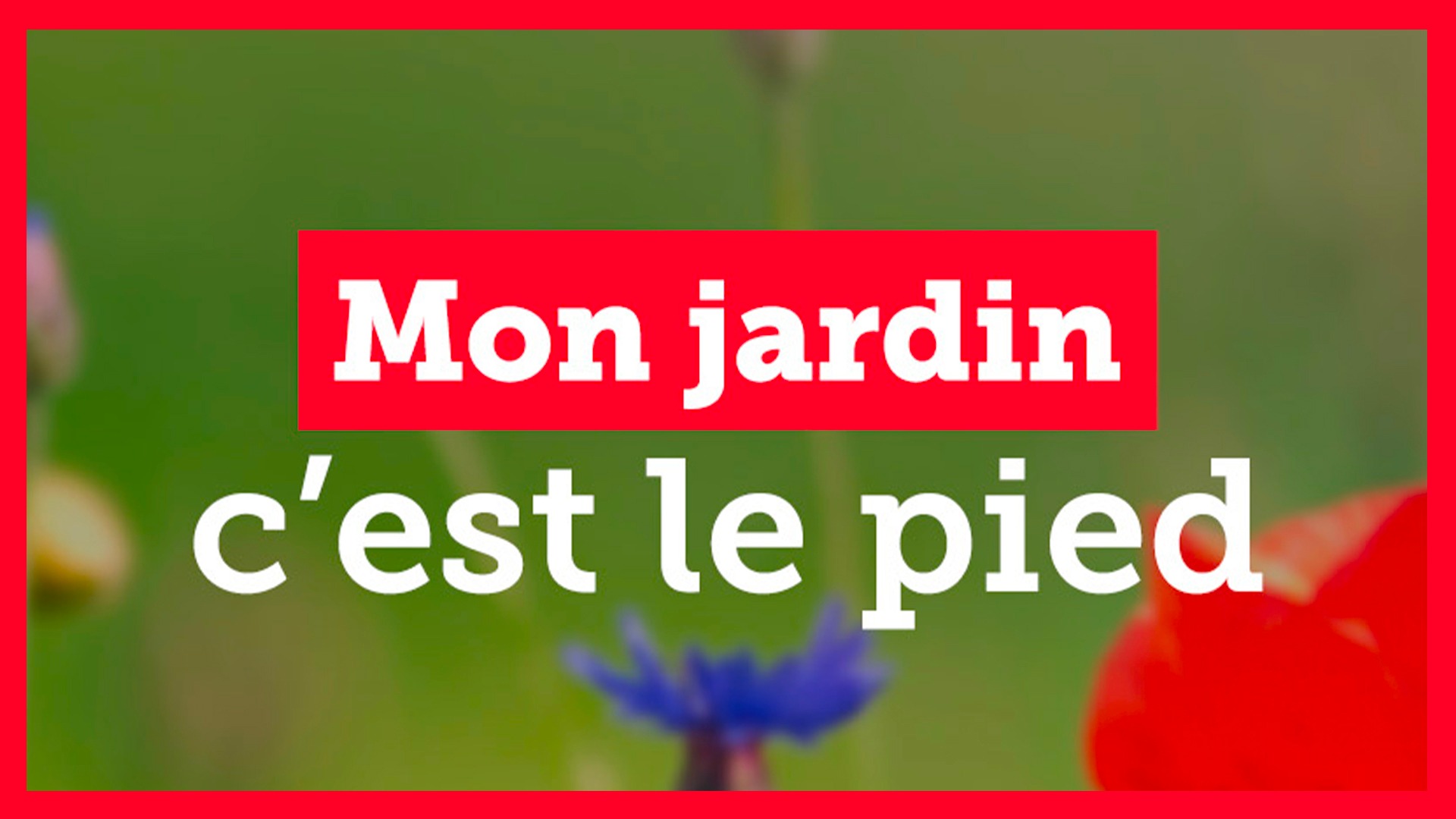 Mon jerdin c'est le pied