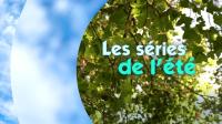 Les séries de l'été :  Wallonie picarde, terre de batailles